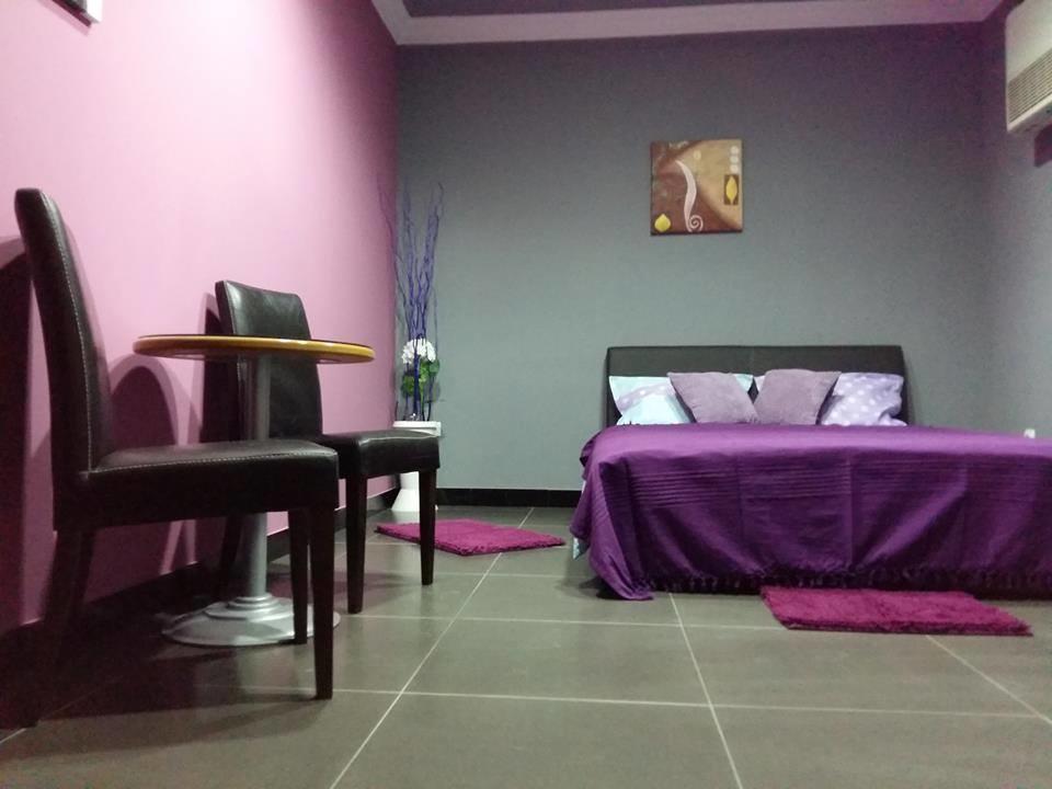 Hotel Bela Ruza à Belgrade Extérieur photo